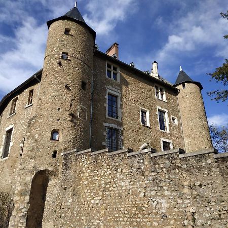 Appartement Chateau Uriage-Chamrousse Saint-Martin-d'Uriage Екстер'єр фото